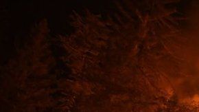 Los incendios en California fueron de los más severos.