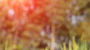 En India se preocupan por la propagación de videos sexuales violentos.