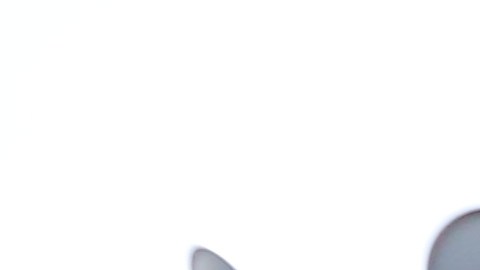 Hasta noviembre, este año ha habido más de 1,000 denuncias este año./Mariela Lombard