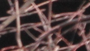 Muchos inmigrantes se mudan a la Gran Manzana, por considerarse protegidos aquí a pesar de no tener estatus migratorio.