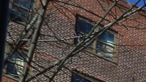 Edificio NYCHA/Archivo,