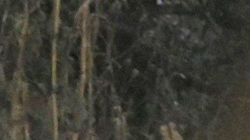 Expertos trabajan en torno a los restos de la aeronave.