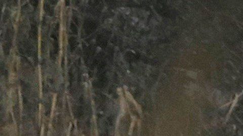 Expertos trabajan en torno a los restos de la aeronave.