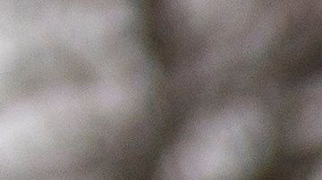 Los jóvenes con DACA esperan por el fallo del Supremo.