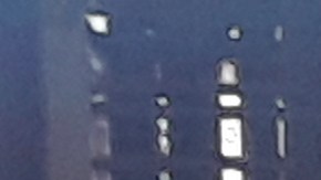 El Metro de Nueva York se ha vuelto una zona sin ley.