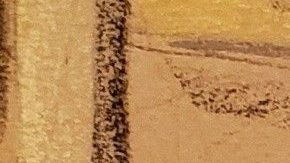 "La Chupeta" ha descrito gran parte de las operaciones de "El Chapo".