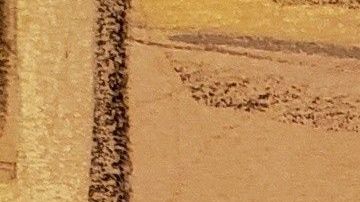 "La Chupeta" ha descrito gran parte de las operaciones de "El Chapo".