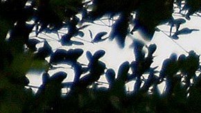 Bomberos inspeccionan la zona del accidente