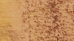 Pedro Flores fue el distribuidor de droga para el cártel de Sinaloa en Chicago.