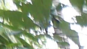 Vecinos limpian las áreas devastadas por el tsunami en Sunda Strait.