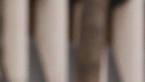 La activista mexicana Alejandra Pablos asegura que luchará para frenar su deportación. Foto: suministrada