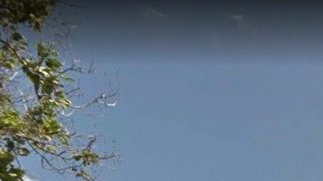 Vecindario Canarsie, Brooklyn, NYC.