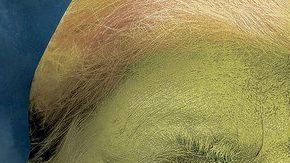 Duras críticas a Trump por llevar a su prometido cierre del gobierno