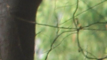 AMLO propone un aumento del 10% para el Ejército.