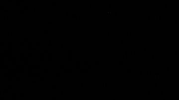 El cierre parcial del gobierno podría extenderse hasta el próximo año