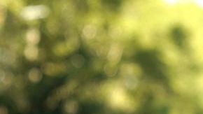 Coronel publicó la polémica foto en Instagram Stories.