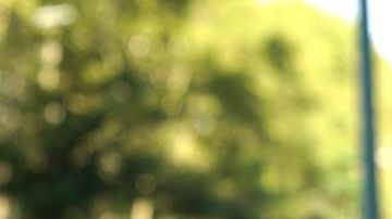 Coronel publicó la polémica foto en Instagram Stories.