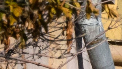 El estadounidense podría ser encarcelado durante 20 años.