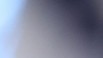 Este martes se espera la condena contra Michael Flynn, ex asesor de seguridad de Trump