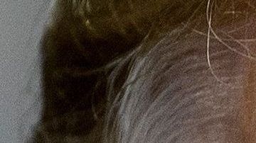 Cohen aseguró que su "debilidad" fue tener una "ciega lealtad a Trump"