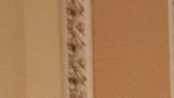 Legisladores continuarán las conversaciones sobre presupuesto el sábado.