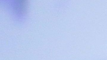 El latino sería una de las cartas demócratas para vencer a Trump en 2020