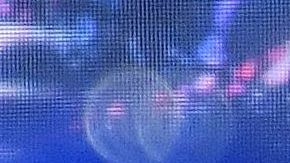 Los dos informes fueron presentados por el Comité de Inteligencia del Senado