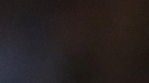 Senadora Elizabeth Warren