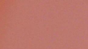 Dolls of "Barbie" and her friend "Ken" i