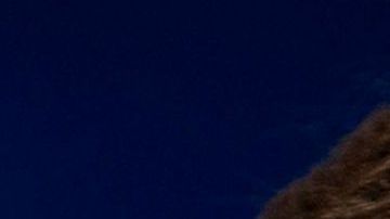 Mulvaney se despachó contra Trump en una conferencia en 2016