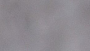 Trump le podría ofrecer el cargo a su yerno, Jared Kushner