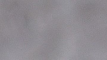 Trump le podría ofrecer el cargo a su yerno, Jared Kushner