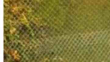 Un arroyo, Hamm Creek, antes y después del trabajo de restauración de un veterano