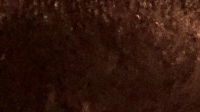 Entre el 1 de noviembre y el 15 de diciembre de 2018 más de 1 millón de neoyorquinos visitaron el sitio web: nystateofhealth.ny.gov.