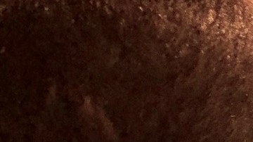 Entre el 1 de noviembre y el 15 de diciembre de 2018 más de 1 millón de neoyorquinos visitaron el sitio web: nystateofhealth.ny.gov.