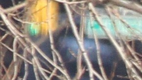 Habrá más soldados en las carreteras en busca de conductores ebrios y drogados durante el resto de la temporada de vacaciones