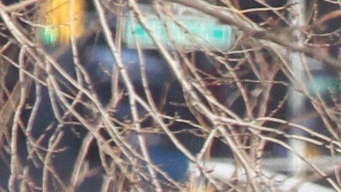Habrá más soldados en las carreteras en busca de conductores ebrios y drogados durante el resto de la temporada de vacaciones