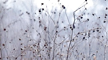 Los hechos ocurrieron el 24 de diciembre.