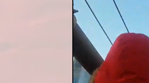 Visitantes se sorprendieron por la cantidad de gente.