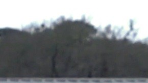 A Roxli Doss le gusta la equitación