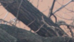 Al Pacino y Robert de Niro en The Irishman. / Foto: Netflix