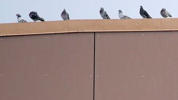 Cada día Walmart invierte más en el e-commerce con la esperanza de superar a Amazon.