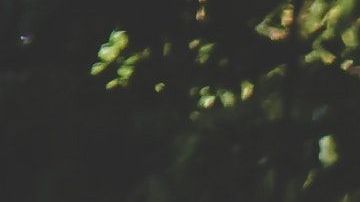 El temor por chocar un auto al estacionarse está desapareciendo con los nuevos sistemas de estacionamiento automático