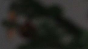 Todavía estás a tiempo para ahorrar antes de Navidad.