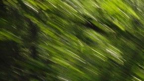 El Ford Focus RS es uno de los nuevos autos de alto rendimiento de la automotriz.