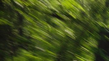 El Ford Focus RS es uno de los nuevos autos de alto rendimiento de la automotriz.