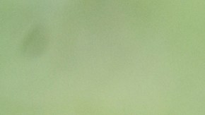 Las empresas sabían que algunas de las deudas eran "fantasma"./Archivo