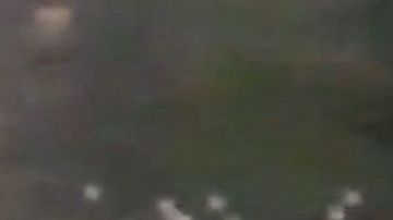 Angelique Boyer y Michel Brown