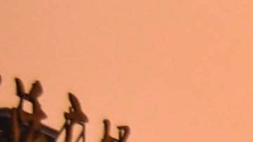 En estas ciudades correrás menos peligro de estar involucrado en un accidente automovilístico