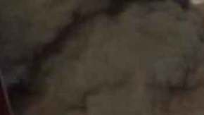 El incendio se provocó al momento de abastecer combustible.